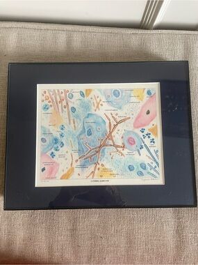 3 cytology prints matted and framed by Suzanne Adams